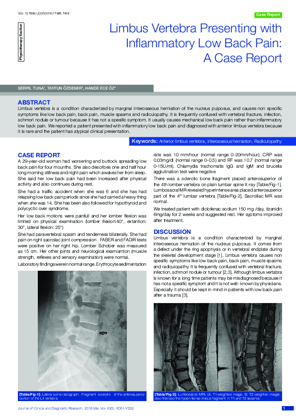 (PDF) Limbus Vertebra Presenting with Inflammatory Low Back Pain: A ...