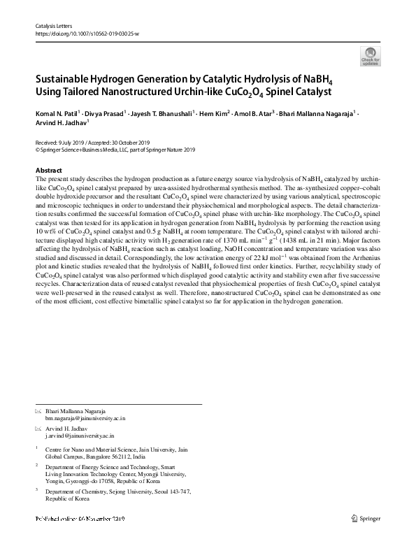 (PDF) Sustainable Hydrogen Generation by Catalytic Hydrolysis of NaBH4 ...