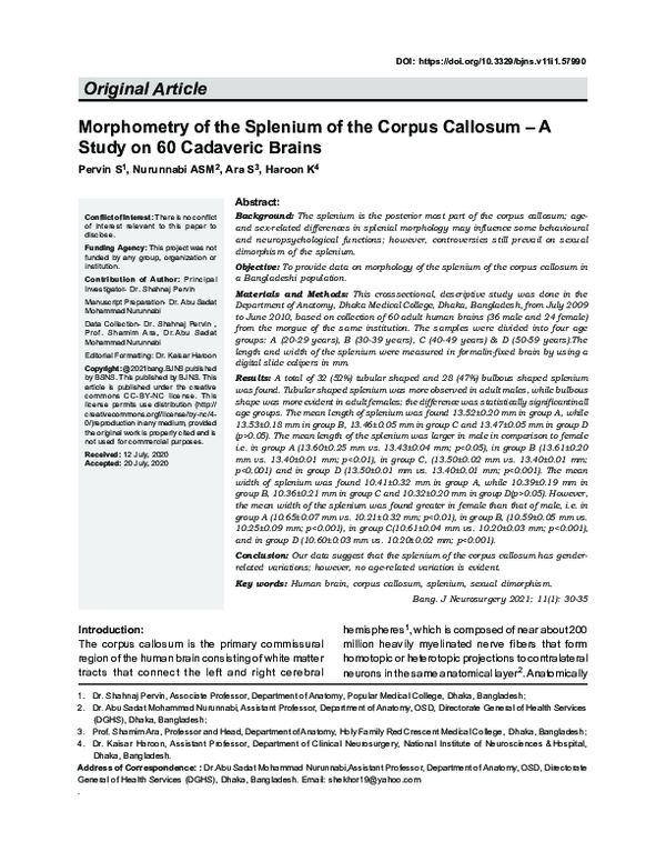 (PDF) Morphometry of the Splenium of the Corpus Callosum – A Study on ...