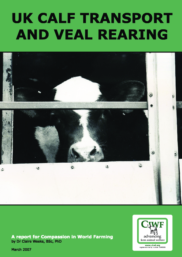 (PDF) UK CALF TRANSPORT AND VEAL REARING A report for Compassion in