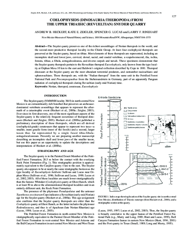 (PDF) Coelophysids (Dinosauria Theropoda) from the Upper Triassic