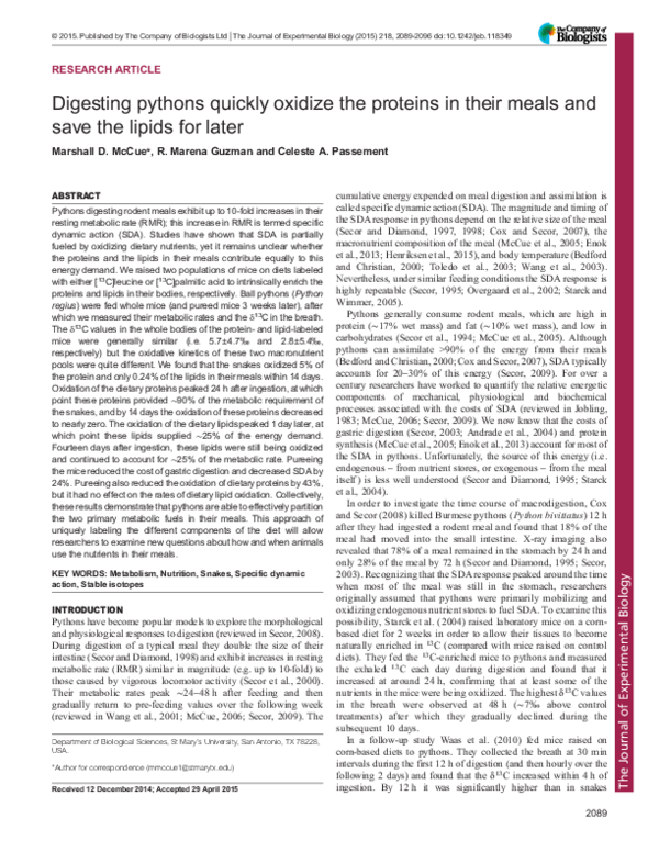 (PDF) Digesting pythons quickly oxidize the proteins in their meals and ...