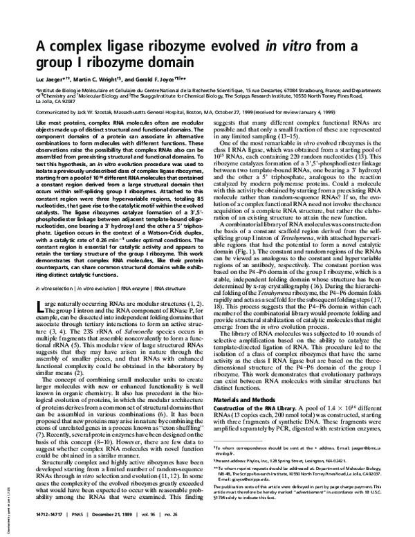 (PDF) A complex ligase ribozyme evolved in vitro from a group I ...