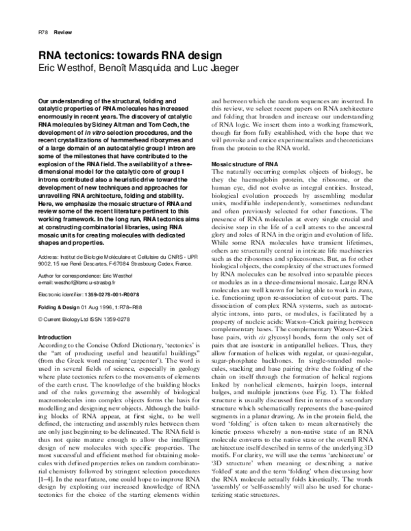 (PDF) RNA tectonics: towards RNA design