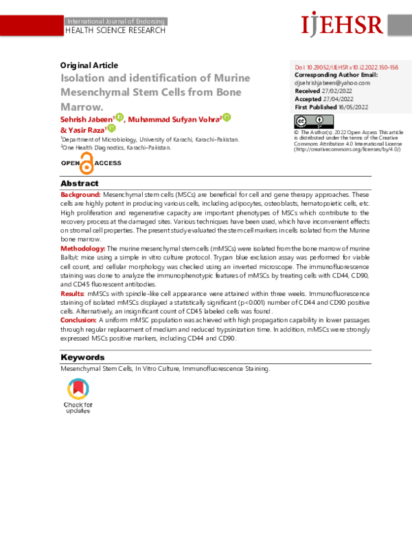 (PDF) Isolation and identification of Murine Mesenchymal Stem Cells ...