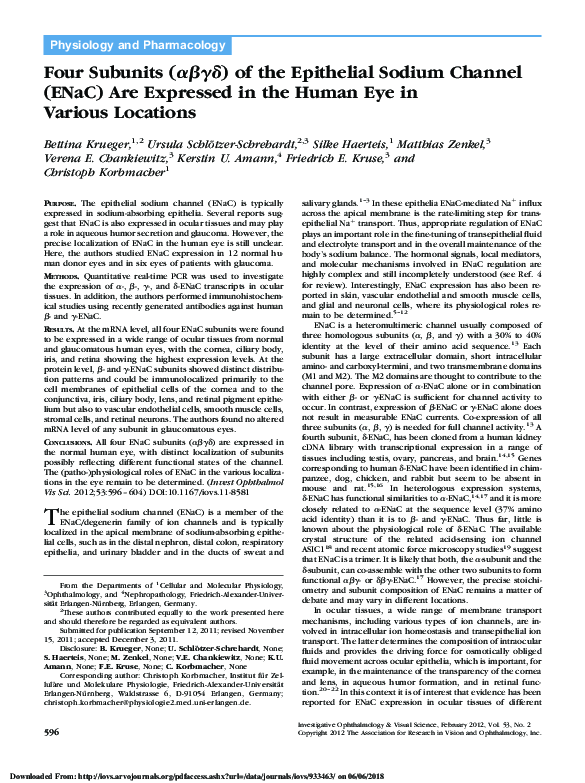 (PDF) Four Subunits ( ) of the Epithelial Sodium Channel (ENaC) Are ...