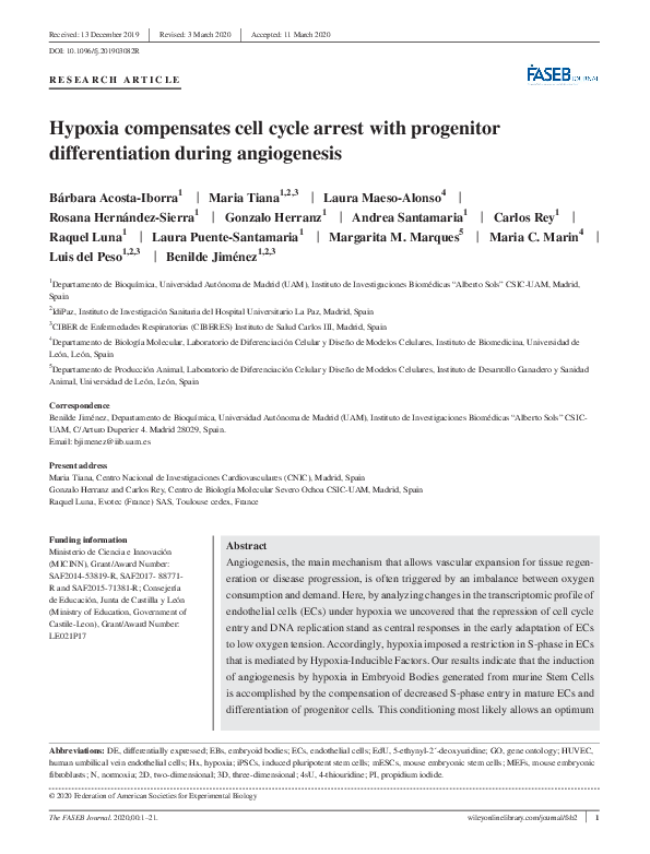 (PDF) Hypoxia compensates cell cycle arrest with progenitor ...