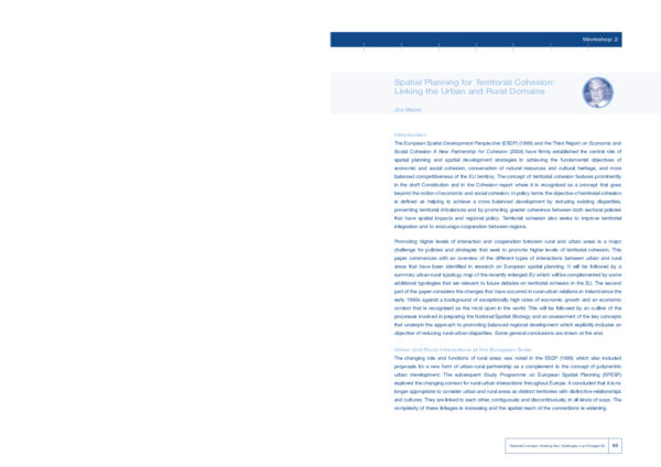 (PDF) Spatial planning for territorial cohesion: Linking the urban and ...