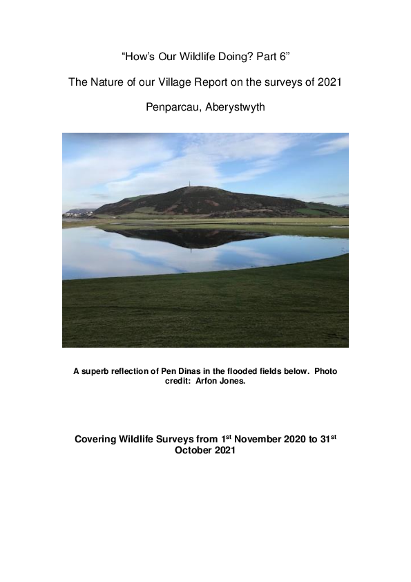 (PDF) 