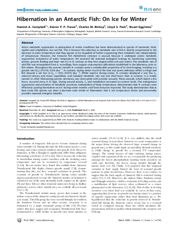 (PDF) Hibernation in an Antarctic Fish