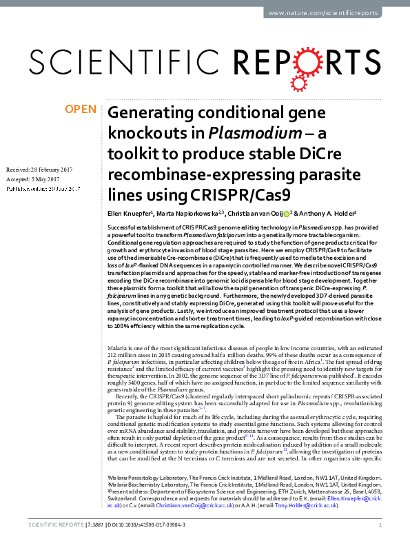 (PDF) Generating conditional gene knockouts in Plasmodium – a toolkit ...