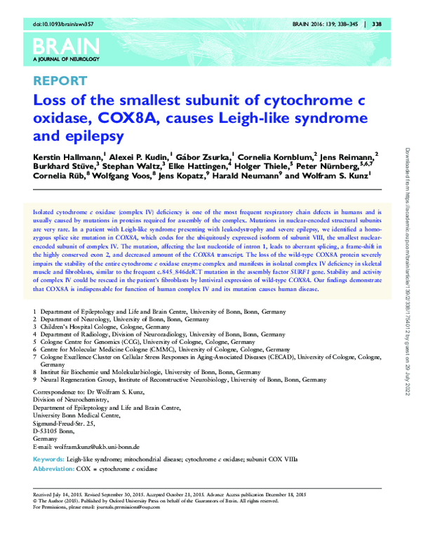 (PDF) Loss of the smallest subunit of cytochrome c oxidase, COX8A ...