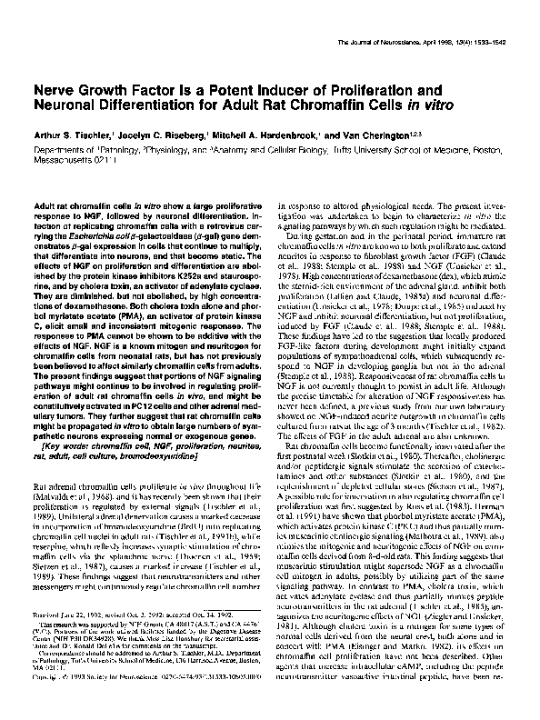 (PDF) Nerve growth factor is a potent inducer of proliferation and ...