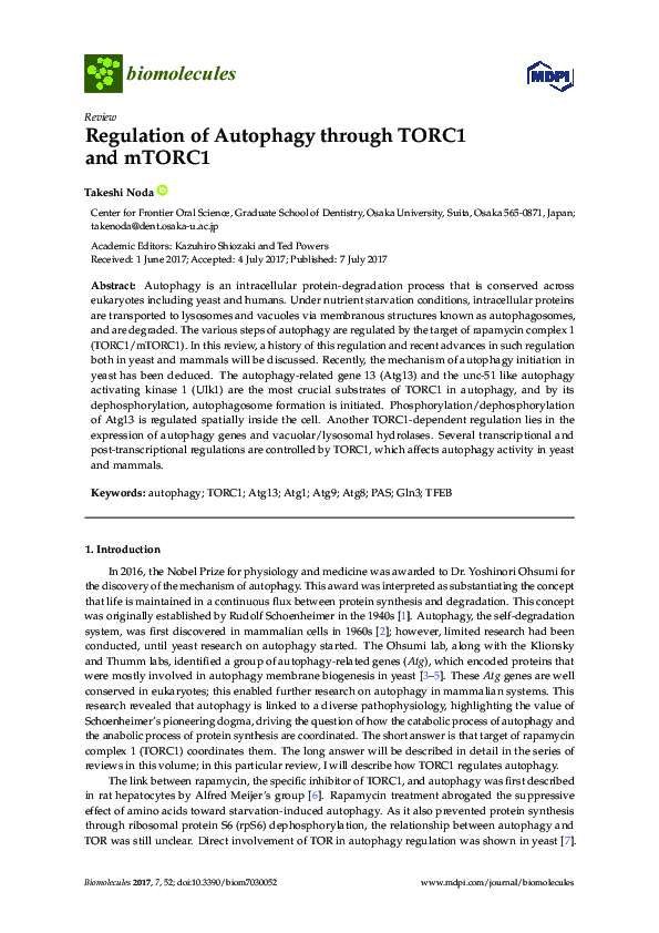 (PDF) Regulation of Autophagy through TORC1 and mTORC1