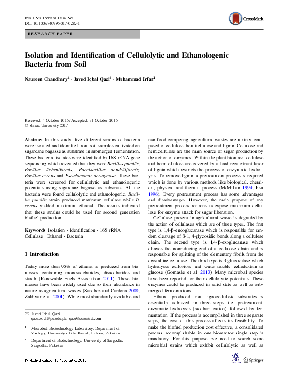 (PDF) Isolation and Identification of Cellulolytic Bacteria Involved in ...