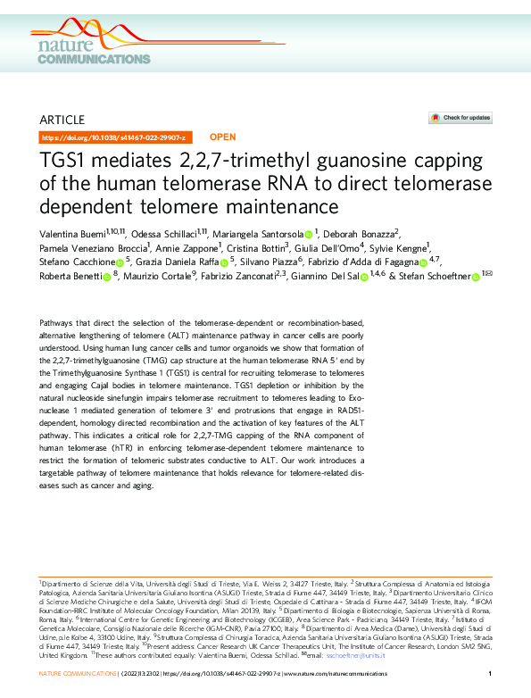 TGS1 mediates 2,2,7-trimethyl guanosine capping of the human telomerase RNA to direct telomerase dependent telomere maintenance