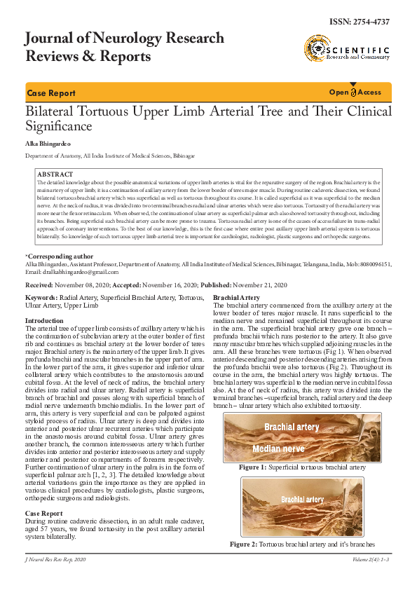 (PDF) Bilateral Tortuous Upper Limb Arterial Tree and Their Clinical ...