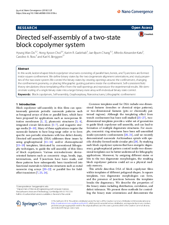 (PDF) Directed self-assembly of a two-state block copolymer system