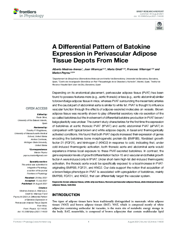 A Differential Pattern of Batokine Expression in Perivascular Adipose Tissue Depots From Mice