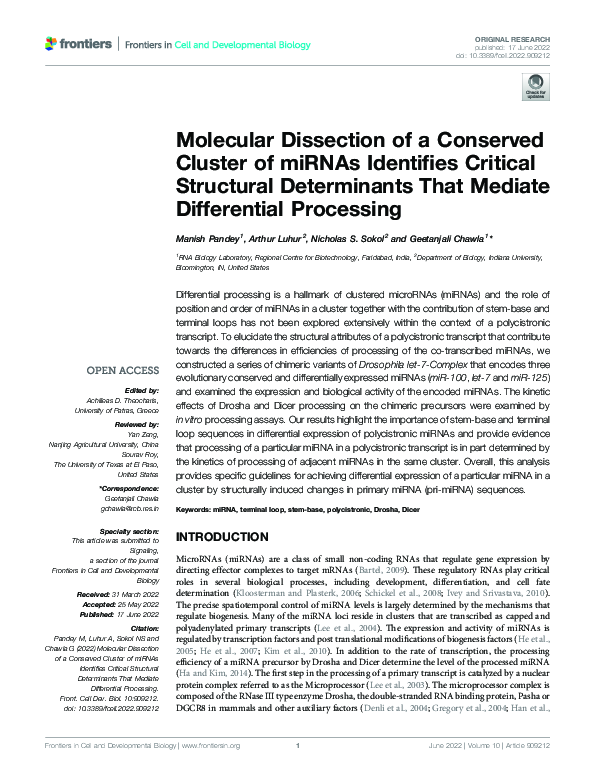 (PDF) Molecular Dissection of a Conserved Cluster of miRNAs Identifies ...