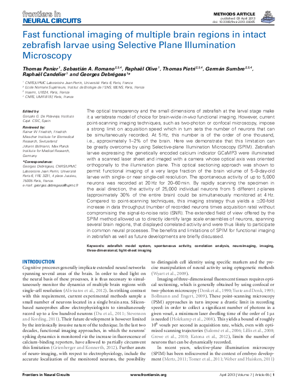 (PDF) Whole-brain functional imaging with two-photon light-sheet microscopy