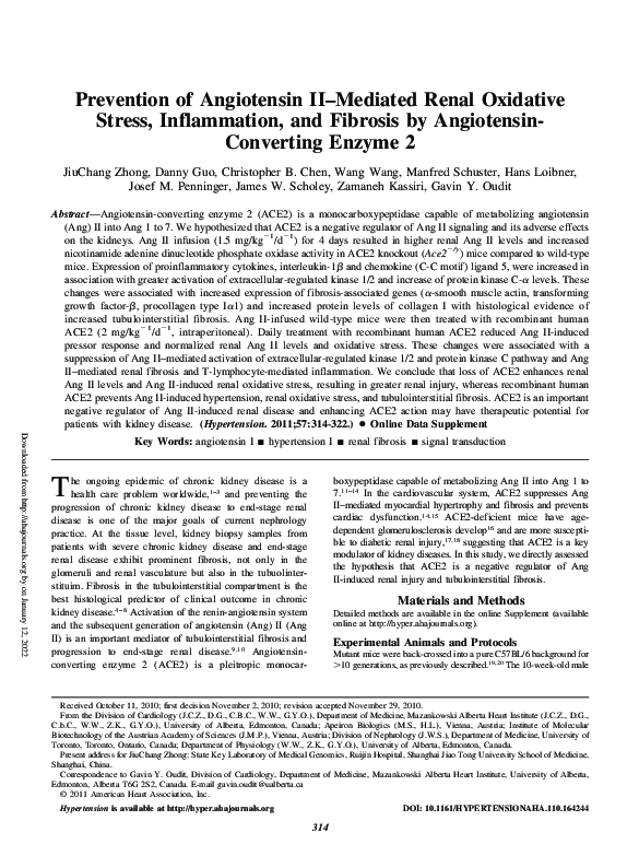 (PDF) Prevention of Angiotensin II–Mediated Renal Oxidative Stress ...