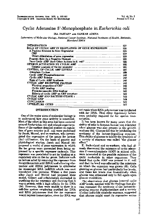 (PDF) Cyclic adenosine 5'-monophosphate in Escherichia coli