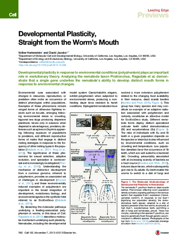 (PDF) Developmental Plasticity, Straight from the Worm’s Mouth