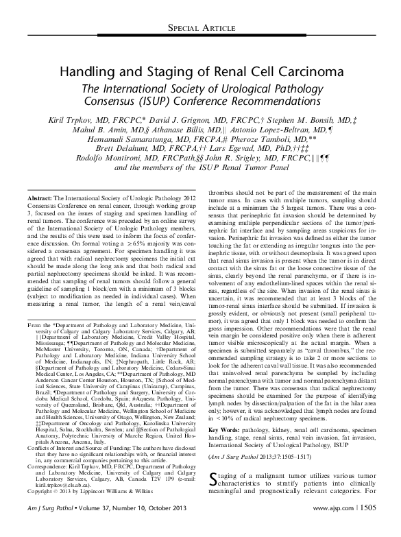 (PDF) Handling and Staging of Renal Cell Carcinoma