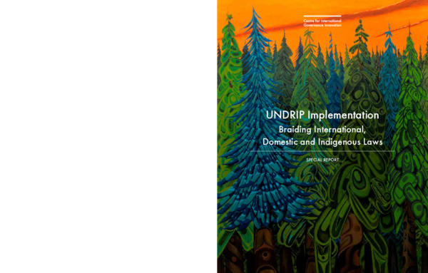 (PDF) UNDRIP Implementation: Braiding International, Domestic and ...