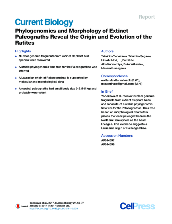 (PDF) Phylogenomics and Morphology of Extinct Paleognaths Reveal the ...