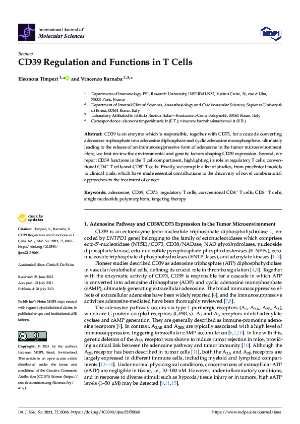 (PDF) CD39 Regulation and Functions in T Cells