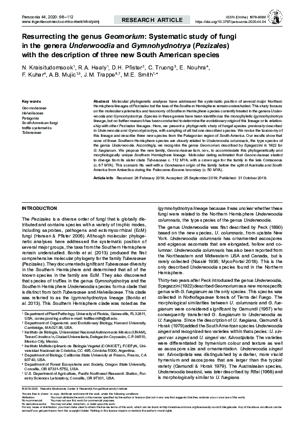 (PDF) Resurrecting the genus Geomorium: Systematic study of fungi in ...