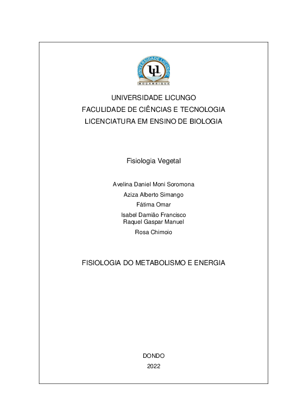 (PDF) Job final | Manuel Machunga - Academia.edu