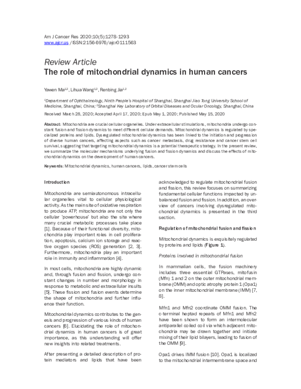(PDF) The role of mitochondrial dynamics in human cancers
