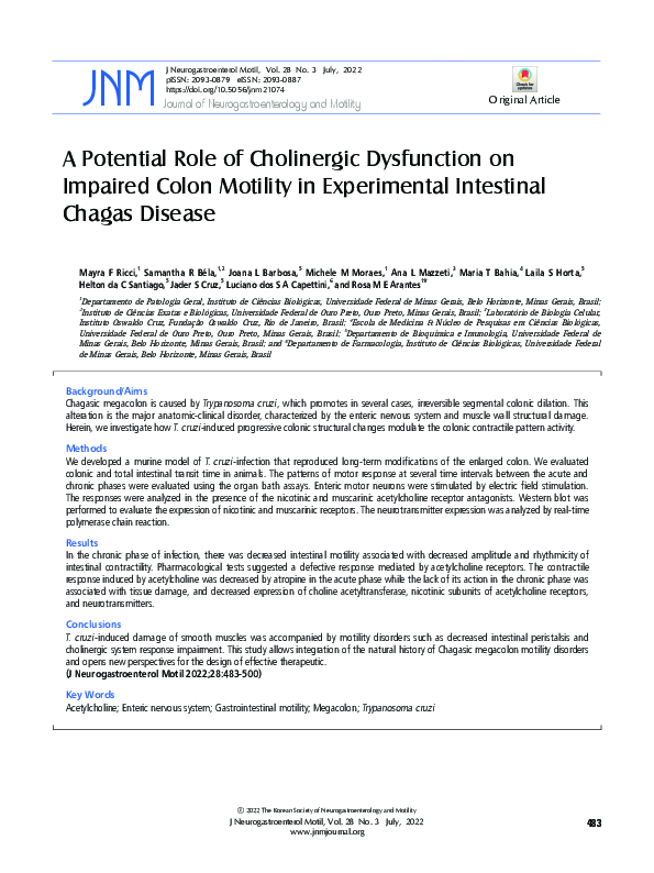 (PDF) A Potential Role of Cholinergic Dysfunction on Impaired Colon ...