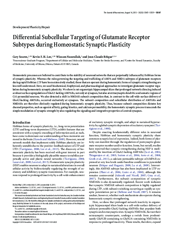(PDF) Virtual Endoscopy Simulator: Can the Unexperienced Be Trained for ...