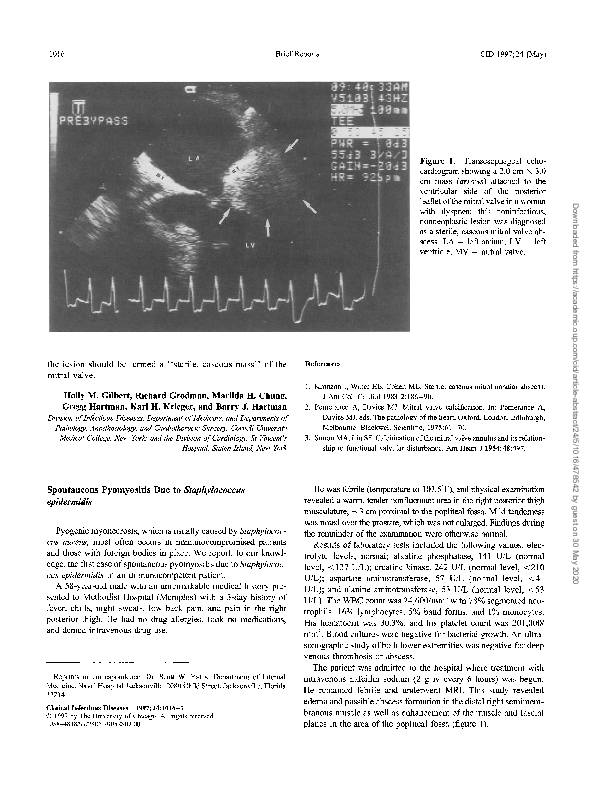 (PDF) Spontaneous Pyomyositis Due to Staphylococcus epidermidis