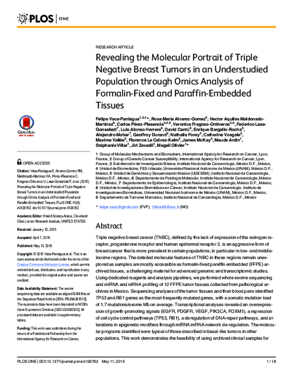 (PDF) Revealing the Molecular Portrait of Triple Negative Breast Tumors ...
