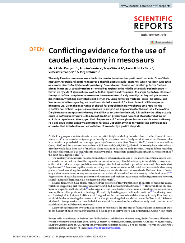 (PDF) Conflicting evidence for the use of caudal autotomy in mesosaurs