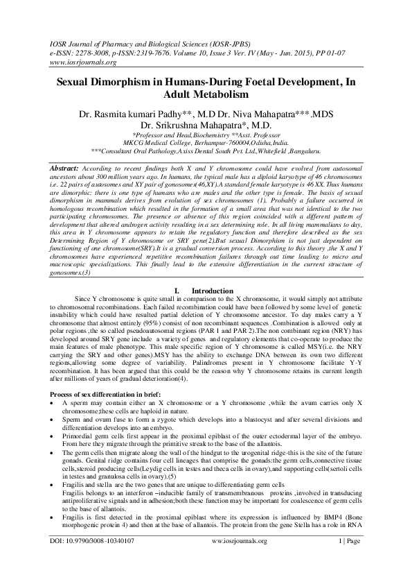 (PDF) Sexual Dimorphism in Humans-During Foetal Development, In Adult ...