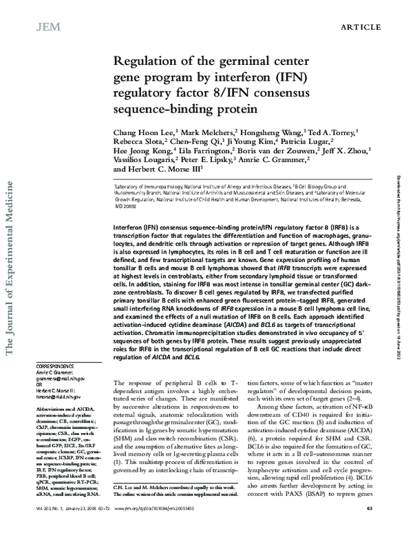 (PDF) Regulation of the germinal center gene program by interferon (IFN ...