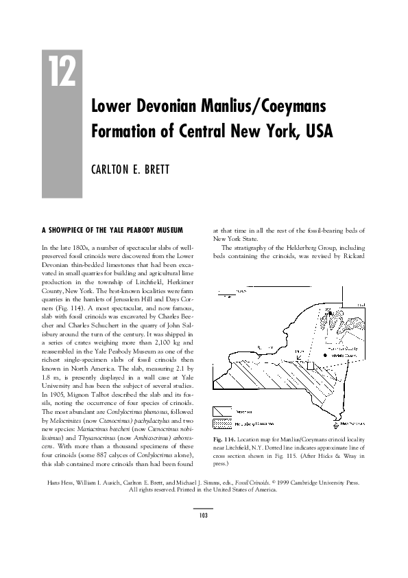 (PDF) Lower Devonian Manlius/Coeymans Formation of Central New York