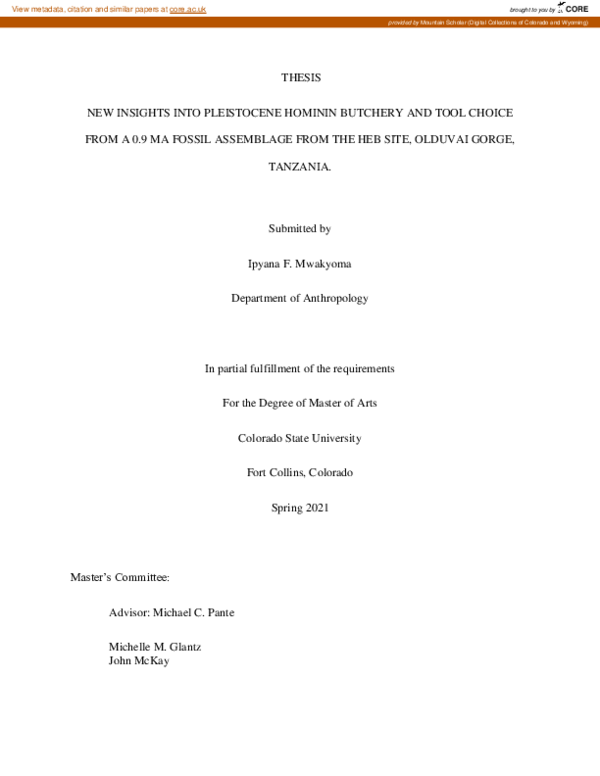 (PDF) New insights into Pleistocene hominin butchery and tool choice ...
