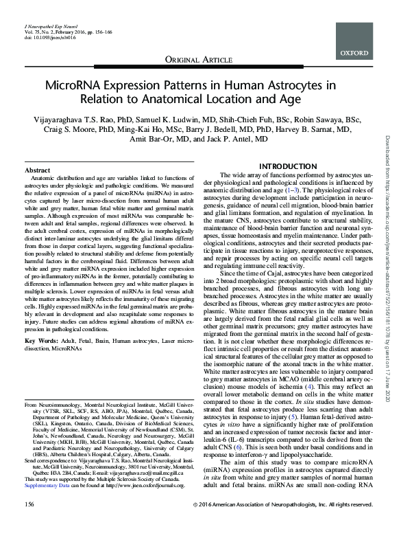 (PDF) MicroRNA Expression Patterns in Human Astrocytes in Relation to ...