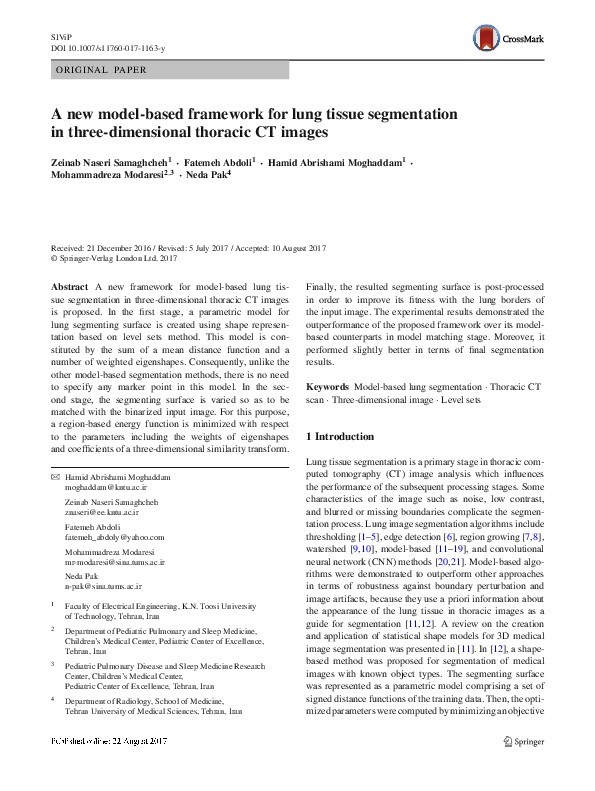 (PDF) A new model-based framework for lung tissue segmentation in three ...