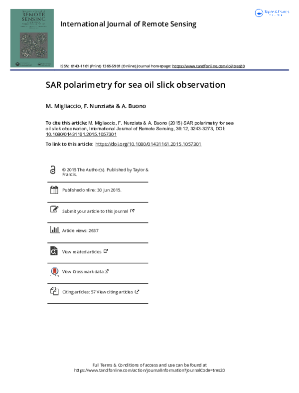 (PDF) SAR polarimetry for sea oil slick observation