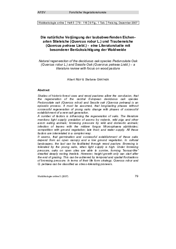 (PDF) Natural regeneration of the deciduous oak species Pedunculate Oak