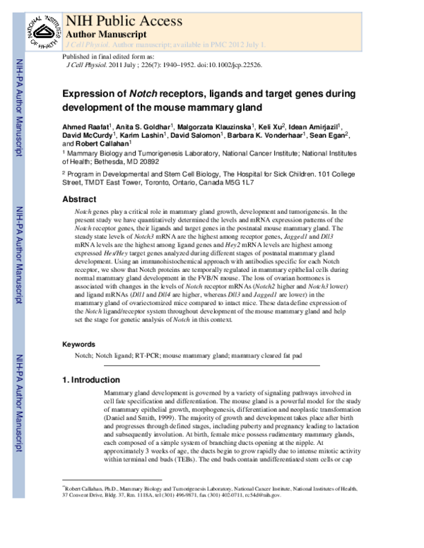 (PDF) Expression of Notch receptors, ligands, and target genes during ...