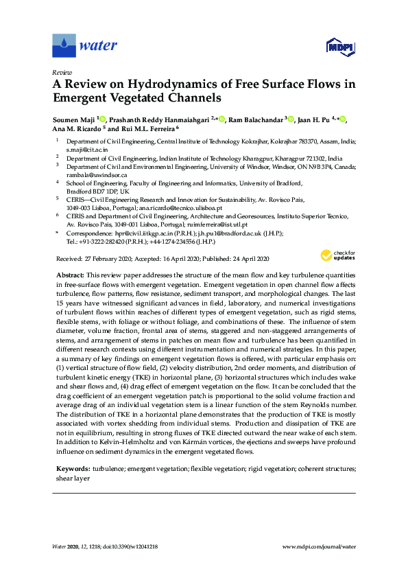 (PDF) A Review on Hydrodynamics of Free Surface Flows in Emergent ...